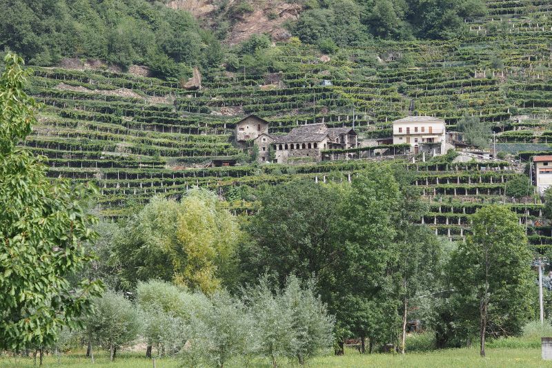 carema terrazzamenti